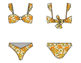 Hearth Bikini - Coco Flamingo